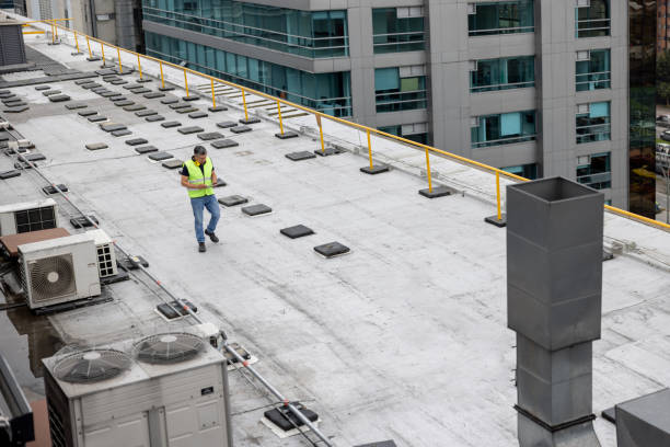 Best Gutter Installation and Repair  in Web, AL
