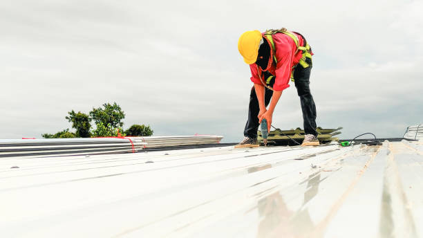 Best Roof Coating and Sealing  in Web, AL