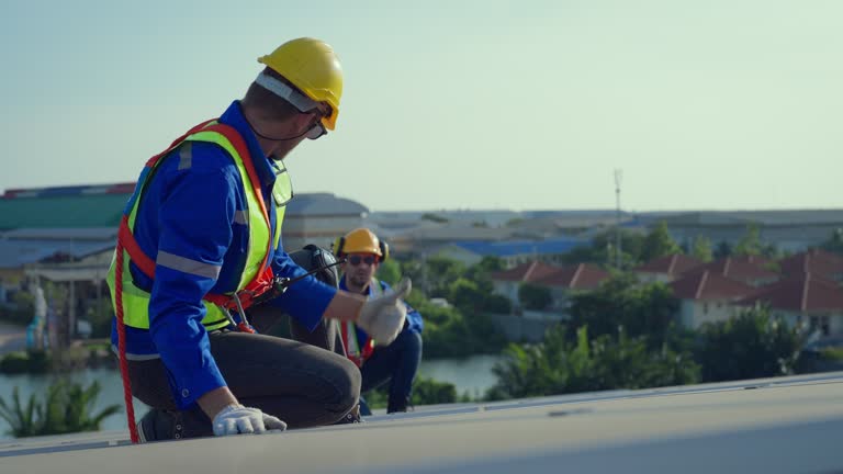 Best Roof Coating and Sealing  in Web, AL