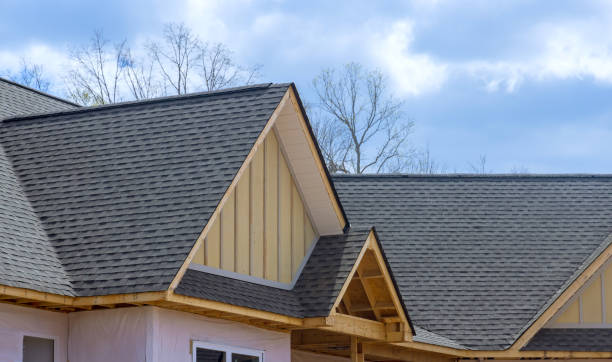 Best Skylights  in Web, AL