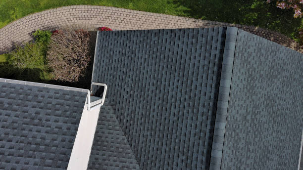 Best Roof Ventilation Installation  in Web, AL