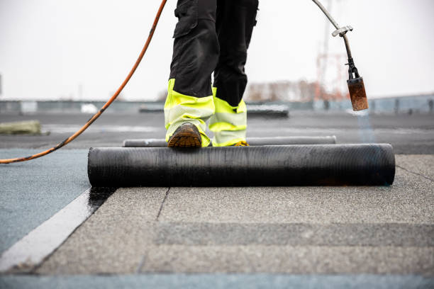Best Chimney Flashing Repair  in Web, AL