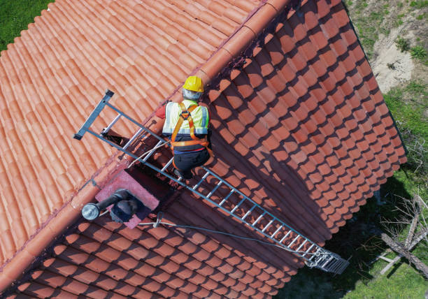 Best Solar Panel Roofing Installation  in Web, AL