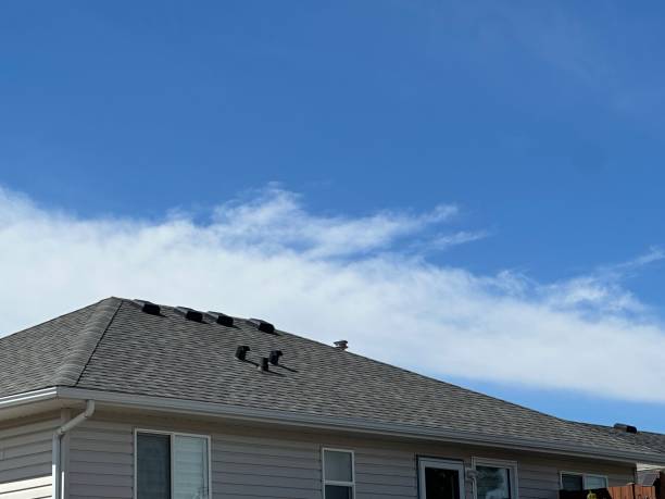 Best Commercial Roofing Services  in Web, AL